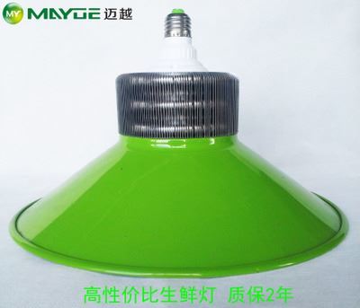 工礦燈/生鮮燈套件：專(zhuān)業(yè)豬肉燈外殼，提升生鮮展示照明效果