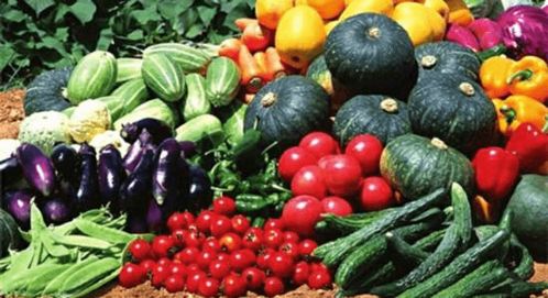 農(nóng)業(yè)農(nóng)村部關(guān)于修訂完善農(nóng)產(chǎn)品質(zhì)量安全法健全蔬菜食品安全源頭保障機制建議的答復(fù)