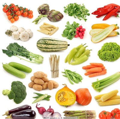 新鮮蔬菜 健康生活的綠色守護者